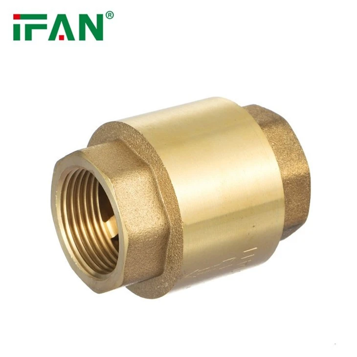 IFAN Horizontal Check Valve