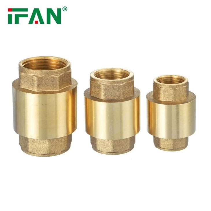 IFAN Horizontal Check Valve
