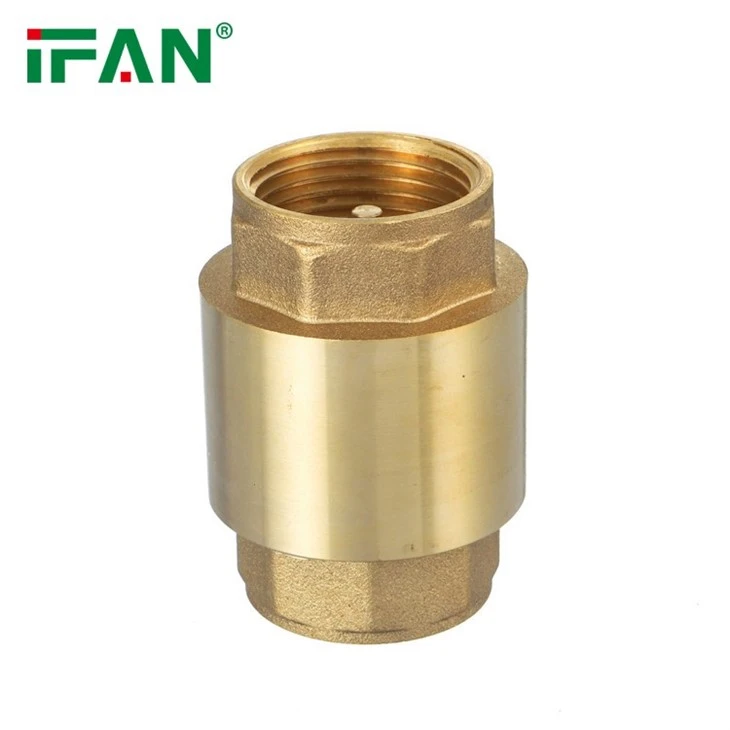 IFAN Vertical Check Valve