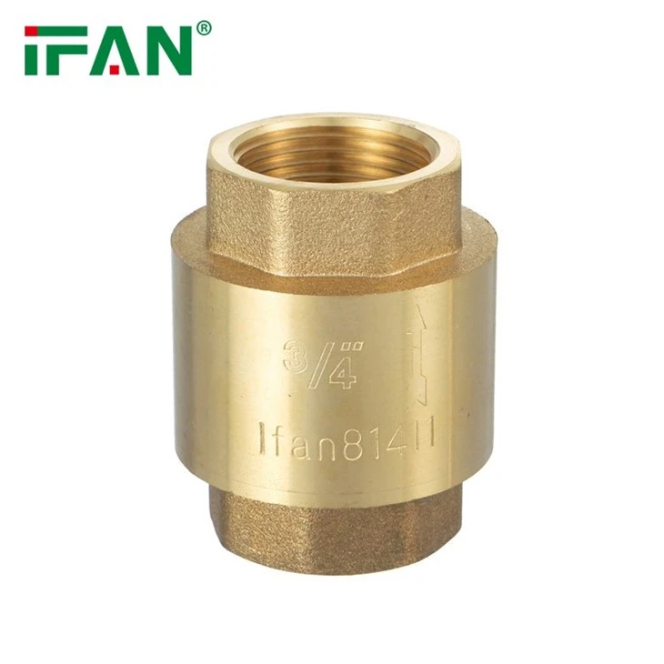 IFAN Vertical Check Valve