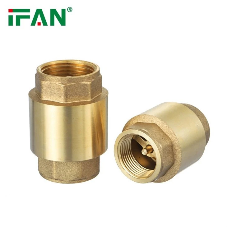 IFAN Vertical Check Valve